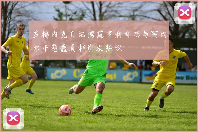 多梅内克日记揭露亨利自恋与阿内尔卡愚蠢真相引发热议